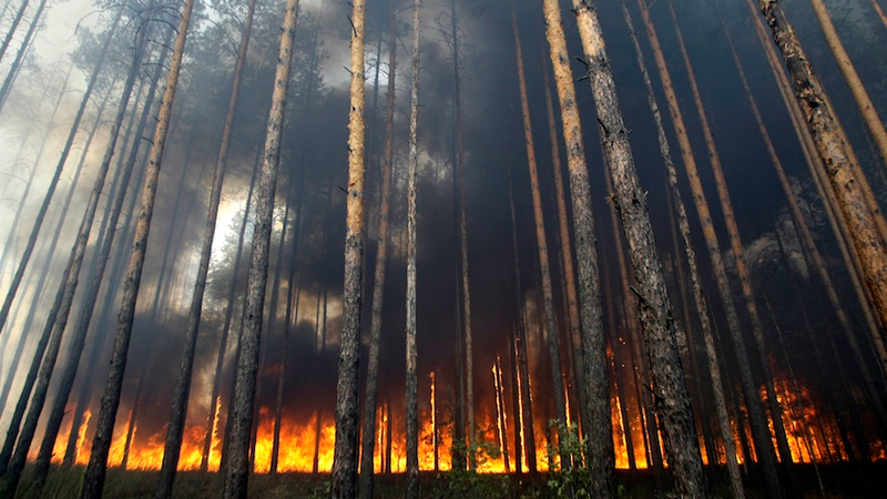 Illustration for article titled Breathtaking and Horrifying Images of Nature's Destructive Power